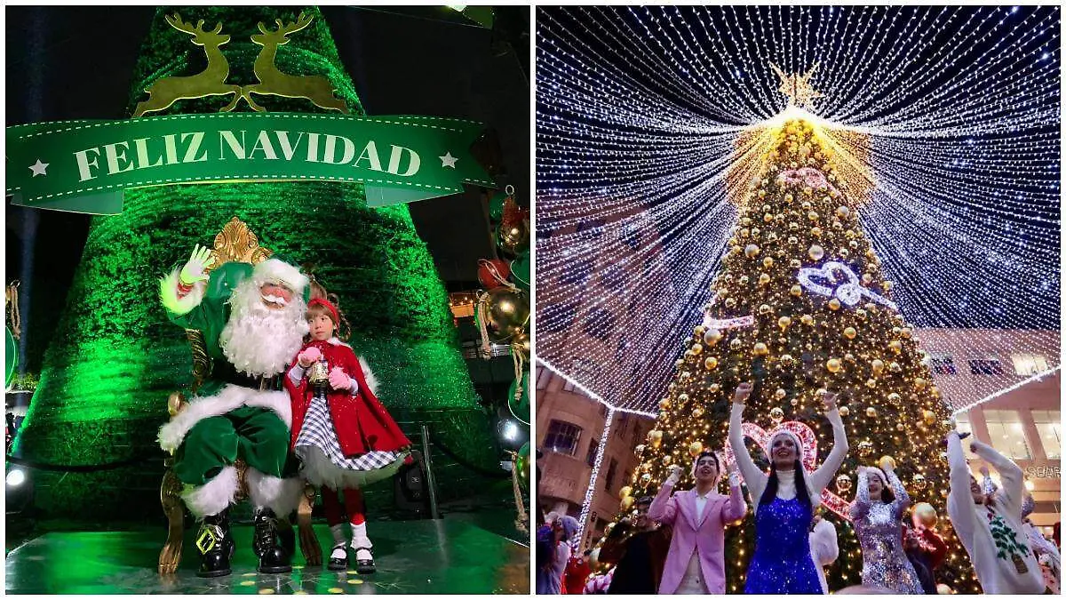 Árboles de Navidad